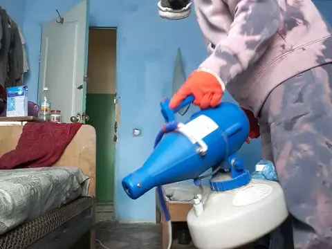 Уничтожение клопов в общежитии